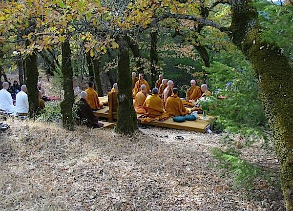 La legge del kamma - www.saddha.it